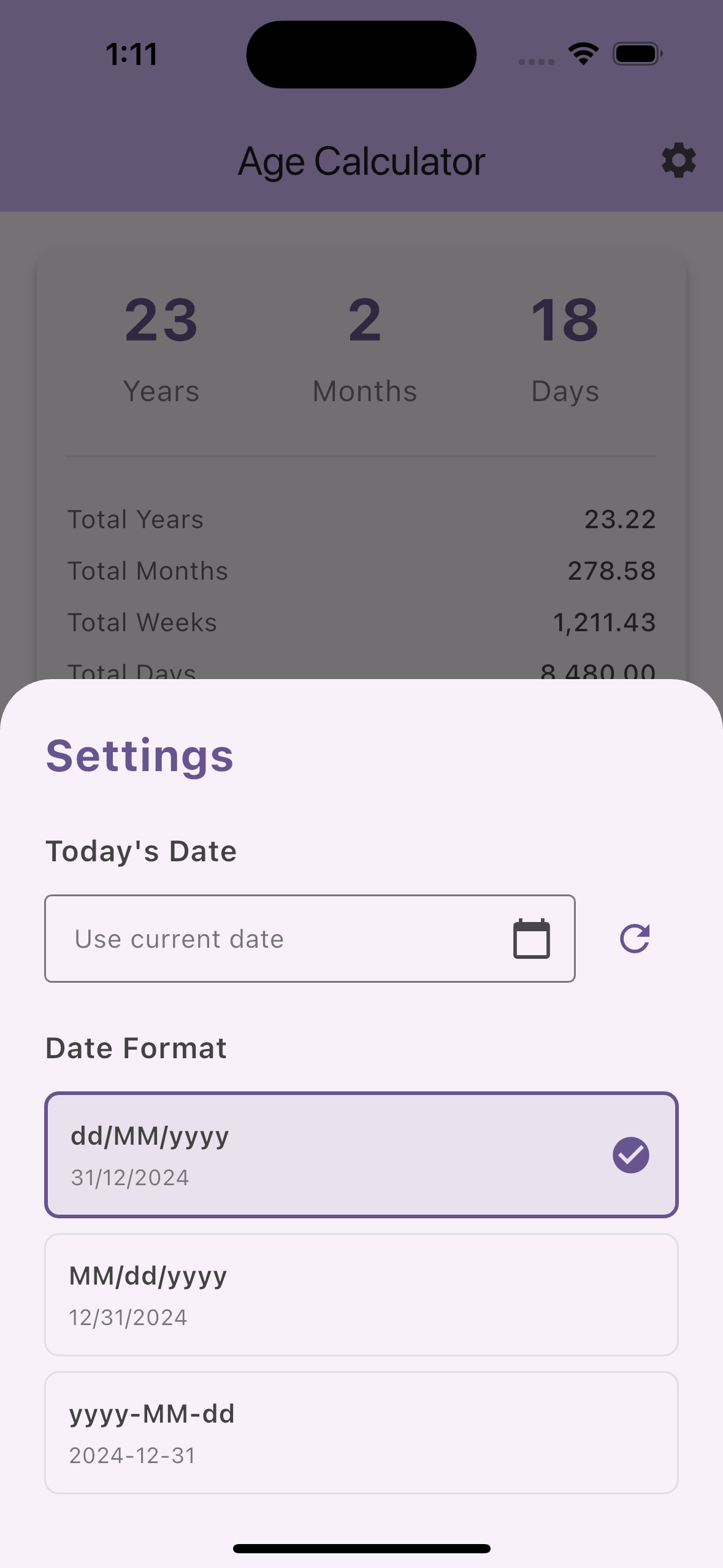 Age Calculator preview 2